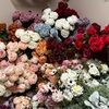 closetfinds_ca